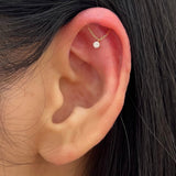 Hidden Helix Piercing - Lulu Ave Body Jewelery